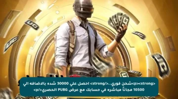 <p><strong>شحن فوري..</strong> احصل على 30000 شدة بالإضافة إلى 10500 مجاناً مباشرة في حسابك مع عرض PUBG الحصري</p>